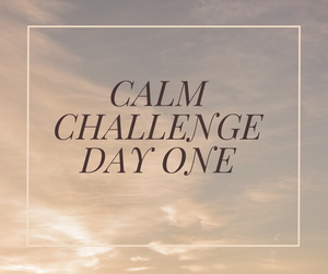 The 60-Day Calm Challenge: Flip the Switch from Storm Mode to Serenity